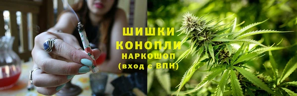 молекула духа Белокуриха