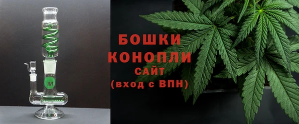 молекула духа Белокуриха
