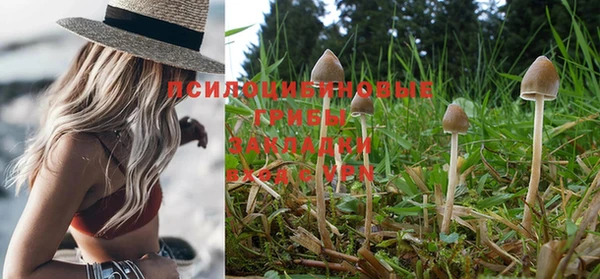 молекула духа Белокуриха