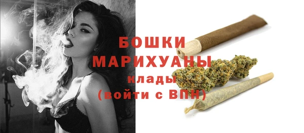 молекула духа Белокуриха