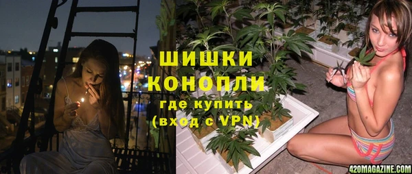 дживик Беломорск