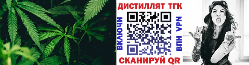 МЕГА ссылка  наркота  Светлогорск  Дистиллят ТГК жижа 