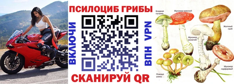 Галлюциногенные грибы мицелий  что такое   kraken как зайти  Светлогорск 